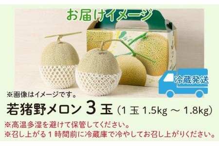 【先行予約】勝山 若猪野メロン (3玉 箱入り)   ※2024年7月中旬～8月中旬頃発送 [B-058004]