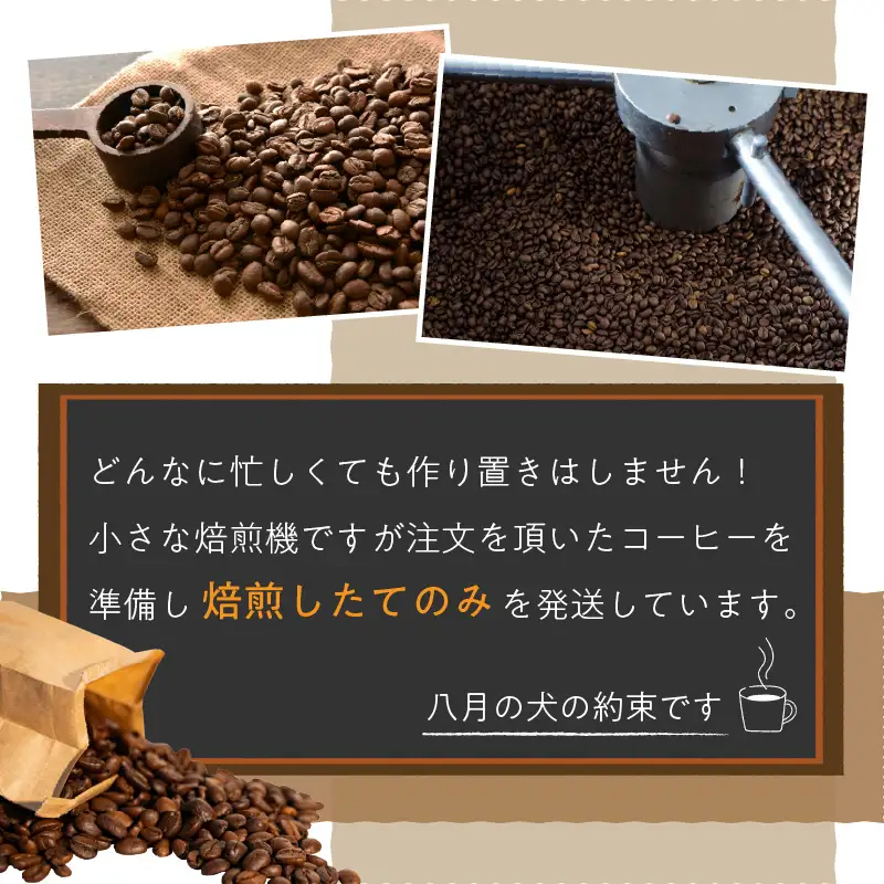コーヒー豆 500gx2種 選べる飲み比べ コーヒー豆