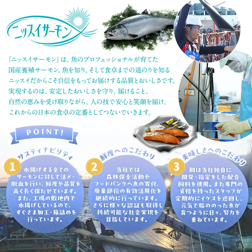鳥取県産 活〆 境港 サーモン 定塩 塩鮭 切り身 1/4カット 真空パック×4 合計約1.5kg 鮭 鮭 サーモン
