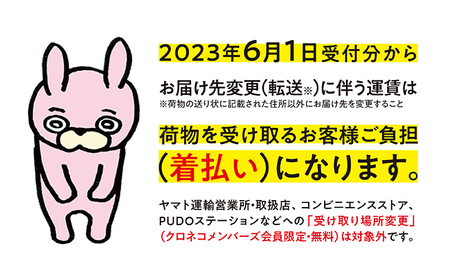 【金属工芸作品】芽と早蕨のフルーツピックセット