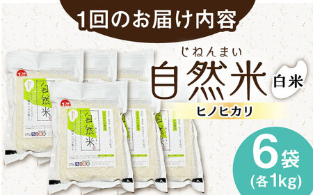 【12回定期便】栽培期間中 農薬・化学肥料不使用 自然米 白米 6kg（ヒノヒカリ 1kg×6袋）/自然庵 [UCQ020]