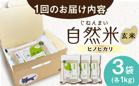 【3回定期便】栽培期間中 農薬・化学肥料不使用 自然米 玄米 3kg（ヒノヒカリ 1kg×3袋）/自然庵 [UCQ022]