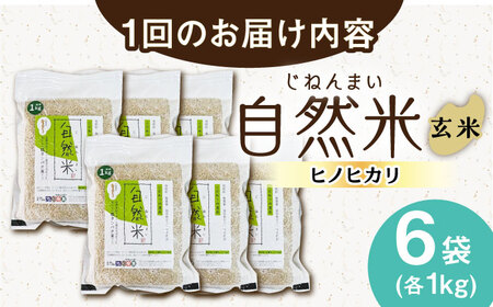 【6回定期便】栽培期間中 農薬・化学肥料不使用 自然米 玄米 6kg（ヒノヒカリ 1kg×6袋）/自然庵 [UCQ027]