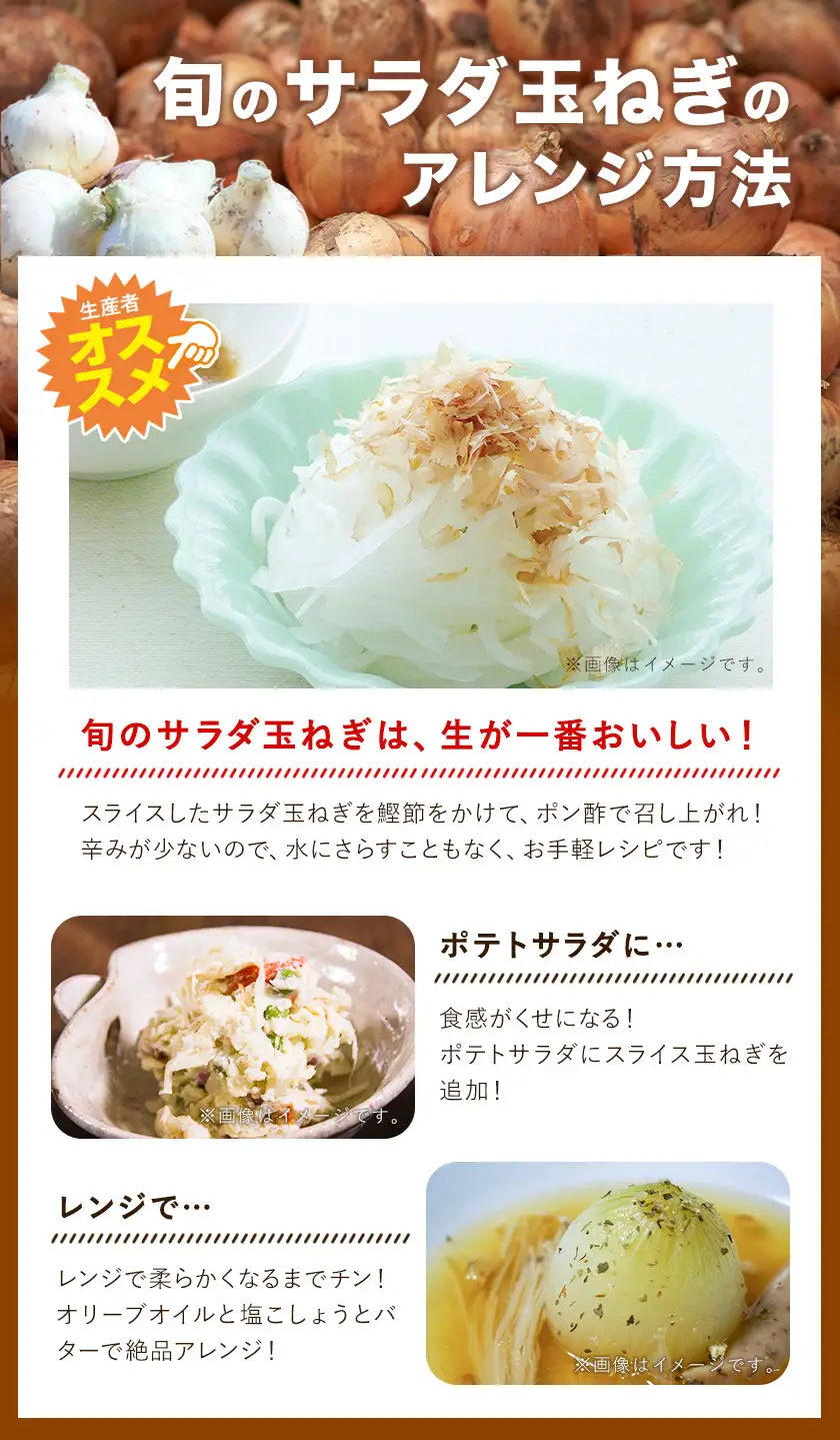 玉ねぎ サラダ 10kg 玉ねぎ