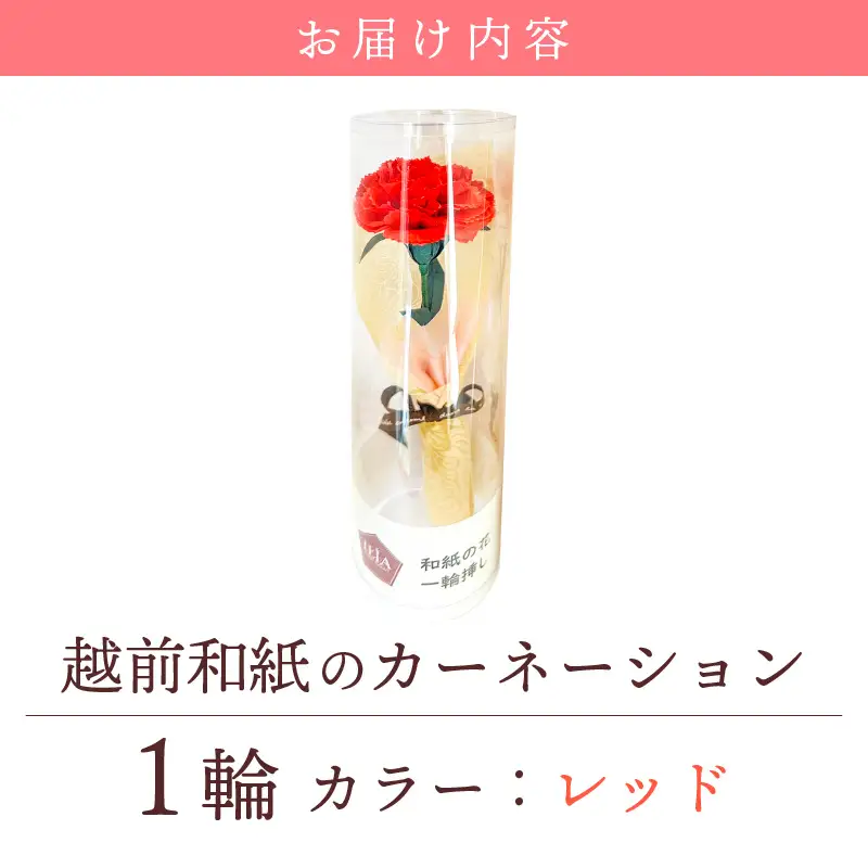 【先行予約】【母の日限定】母の日ギフト 越前和紙カーネーション 永遠の感謝 プレゼント【カラー赤】【2027年5月発送】  [e51-a004_01]