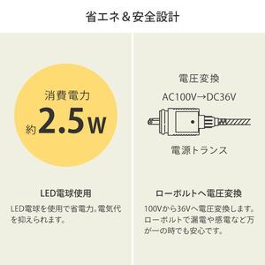 79905300 彩プレミアム ストリングスライト 100球