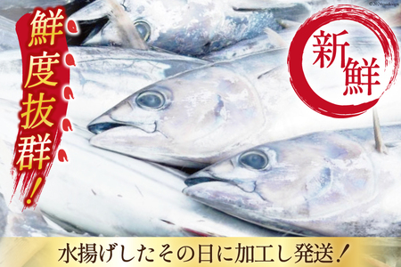 朝獲れ 産地直送 冷蔵便 生かつおタタキ 600g タレ付 真空パック 