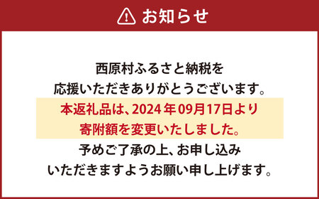 総量1kg 全ての原料を国産素材にこだわった「国産原料限定使用芋かりんとう」 かりんとう お菓子 揚げ菓子 芋けんぴ かりんとう さつまいも