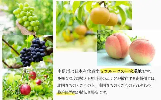 りんご 秋映 約5kg ／2026年10月上旬ごろ配送予定[JA12]//長野県 オリジナル品種 南信州産 贈答 南信州ブランド りんご三兄弟 人気 甘い 濃厚