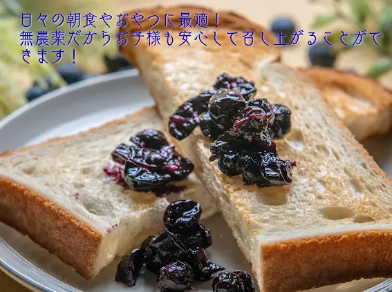 （冷凍） 三重県度会町産の有機栽培 自然の恵みを受け甘く育った ブルーベリー ５００ｇ ／ 貴の園 フルーツ 果物 国産 三重県 度会町