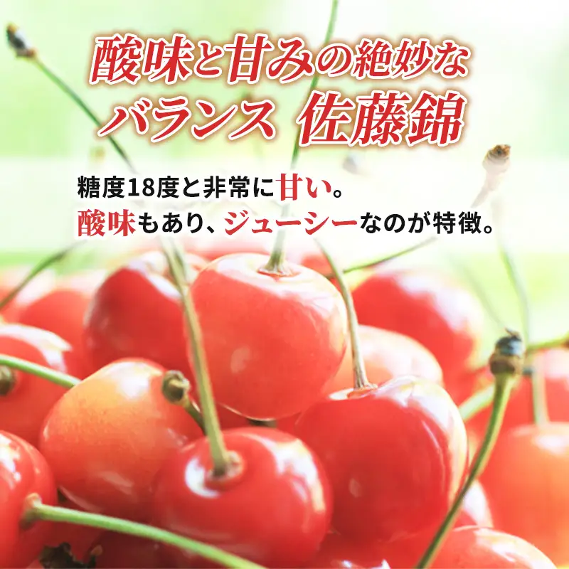 さくらんぼ 600g 佐藤錦 L・M混合 サクランボ