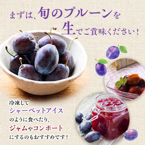 プルーンフルーツ 9月後半～10月発送 北海道産 プルーン【800g(400g×2)】
