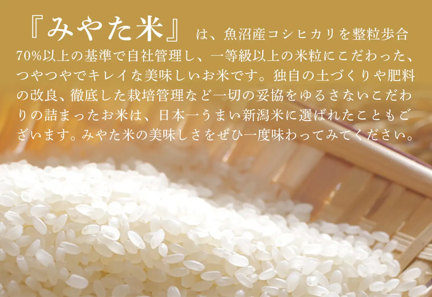 【令和7年産】【定期便3ヶ月】南魚沼産こしひかり　みやた米5kg【定期便 銘柄米 ブランド米 精米 こしひかり コシヒカリ 魚沼産 新潟米 産地直送 お米 米 こめ コメ ご飯 御飯 ごはん】