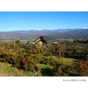 国産果汁100％ジュース 健康ギフト（180ml×10本）［NH02］// 長野県 南信州 ストレートジュース 無加糖 無塩 香料不使用 着色料不使用 保存料不使用 天皇杯 農水大臣賞 