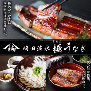 【訳あり】鹿児島県大隅産！楠田の極うなぎ白焼き 有頭1.5kg（約7尾～11尾） うなぎ 鰻 ウナギ 国産 鹿児島県産 九州産 白焼き 冷凍 うな重 ひつまぶし e7-014