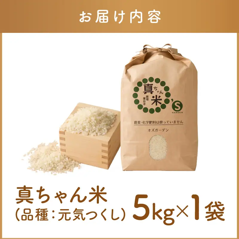 【令和8年産】農薬・化学肥料不使用 真ちゃん米 5kg	【B4-089】