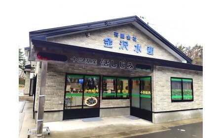 青森県十三湖産【冷凍】ヤマトシジミ 特大 1kg [0554]
