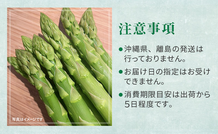 ［武田農園とれたて直送］2027年春発送 グリーンアスパラ 2L 2kg やわらかくて抜群にあまい！北海道 富良野産 (アスパラガス アスパラ 野菜 新鮮 産地直送 先行予約 限定)