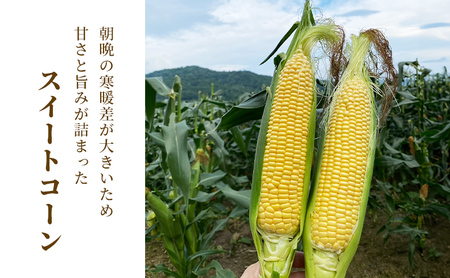 2026年夏発送 ［武田農園とれたて直送］スイートコーン わくわくコーン 2L 20本 みずみずしく抜群にあまい！北海道 富良野産 (とうもろこし 野菜 新鮮 とうきび 甘い 産地直送 先行予約 限定)