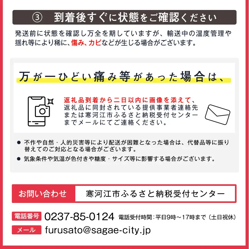 令和8年産 樹上完熟 りんご 3kg 秀品 「ふじりんご」 2026年産 山形県産【2026年11月下旬頃から12月下旬頃発送予定】　014-B-NG007