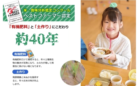 先行予約 特別栽培米コシヒカリ 白米 10kg 新潟県産 令和8年 [佐藤農産有機センター]【018S050】