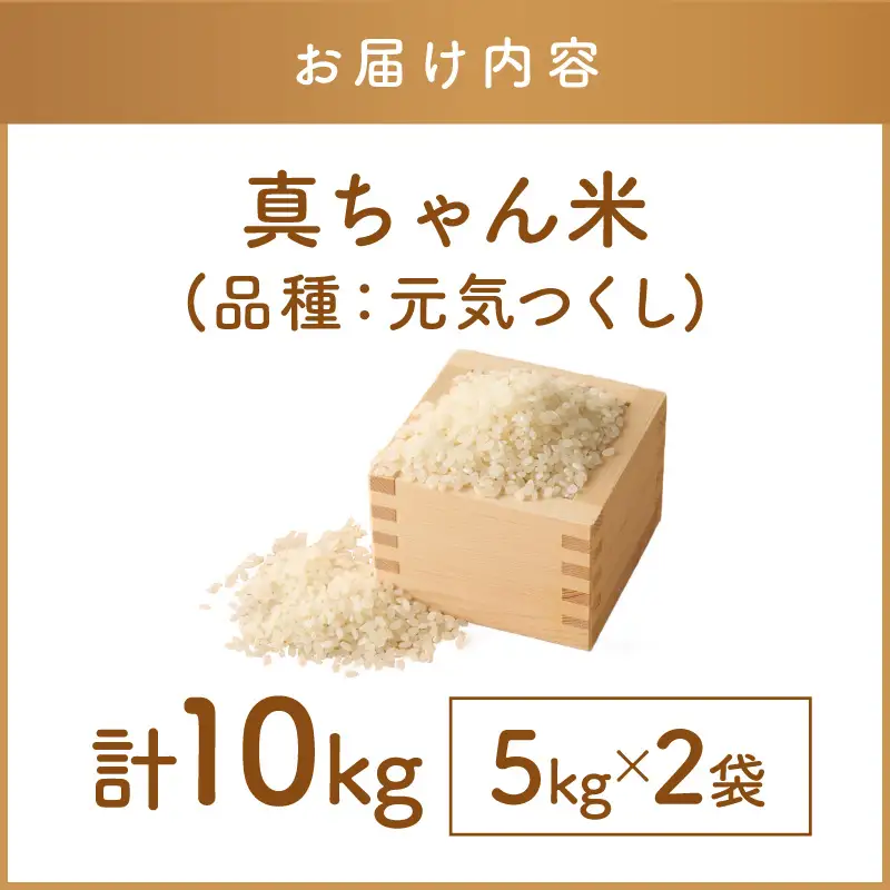 【令和8年産】農薬・化学肥料不使用 真ちゃん米 10kg【D2-014】