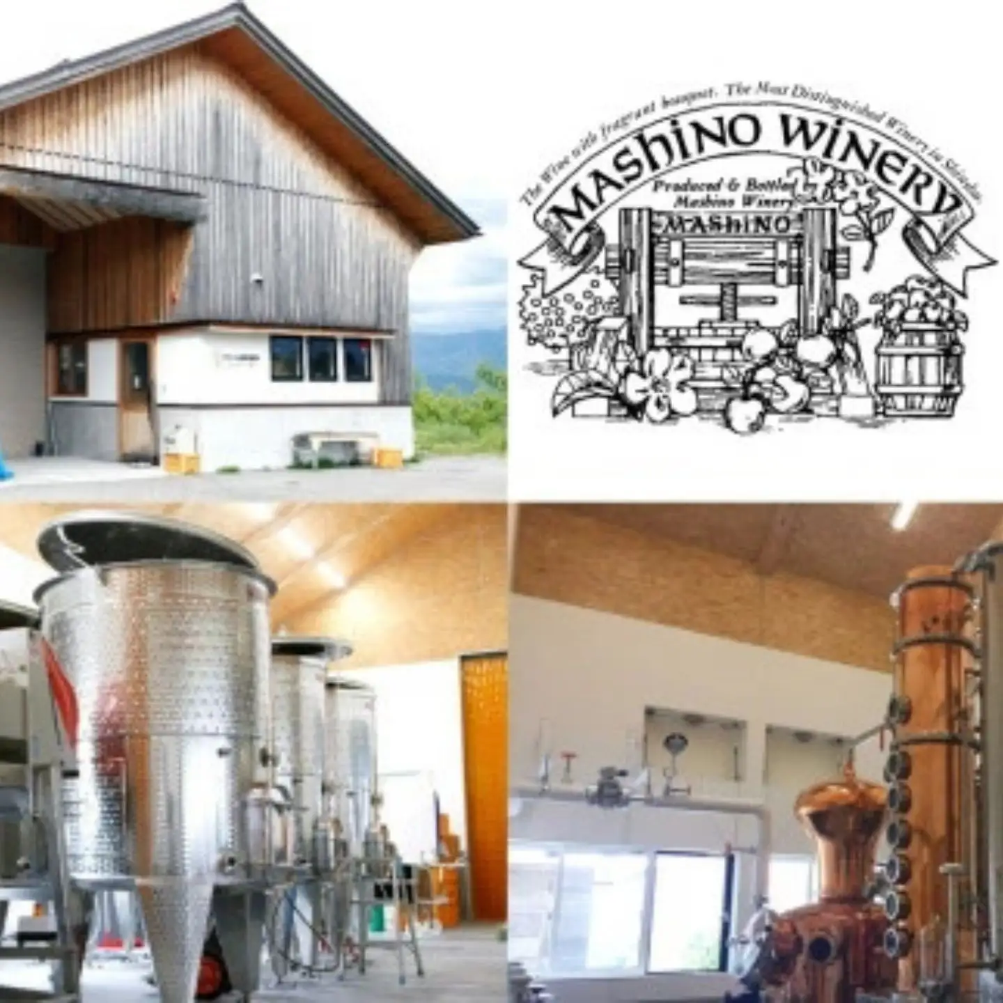 MW12 山葡萄ワイン2種セット（500ml×2本）// 長野県 南信州 山ぶどう 山葡萄 贈答 ギフト 稀少 甘口ワイン 辛口ワイン