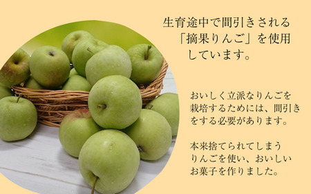 MZ04　南信州りんごのお菓子詰合せ // 長野県 南信州 ギフト 贈答 お菓子 銘菓 お土産 りんごのお菓子 アップルパイ りんごせんべい ドライフルーツ 青りんご 食品ロス フードロス 詰め合わせ 食べ比べ 優秀味覚賞