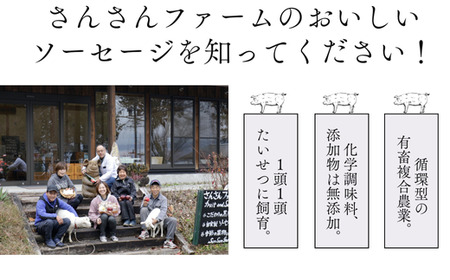 SF02　無添加！さんさん豚ソーセージセットA ／（140g×4種類入）【化学調味料不使用】// 長野県産豚肉 南信州 ポーク バークシャー種 安全 安心 冷凍 贈答 ギフト
