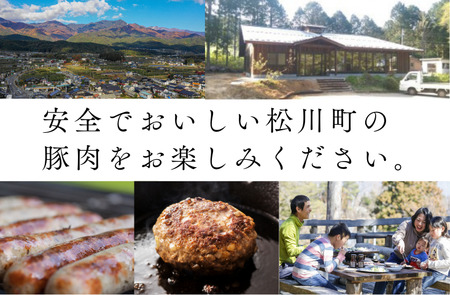 SF04　無添加！さんさん豚ハンバーグセット／(110g×6ヶ入)【化学調味料不使用】//長野県産豚肉 南信州 ポーク バークシャー種 安全 安心 冷凍 贈答 ギフト