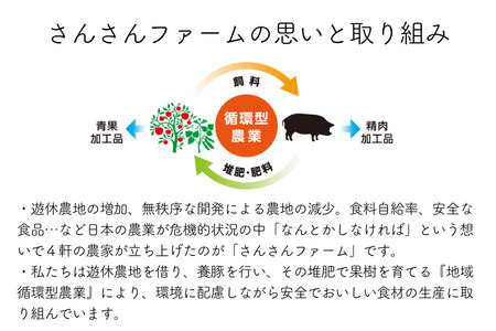 SF09　さんさん豚まん・さんさん豚みそ漬けセット // 長野県産 国産原料使用 レンジ調理 豚まん 肉まん 中華まん 味噌漬け 安全 安心 冷凍 贈答 ギフト