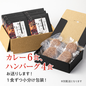 神戸牛 100% ハンバーグ カレー セット 神戸牛