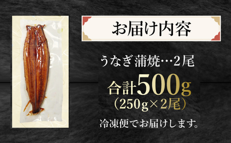 うなぎ 蒲焼 特大 2尾 約500g うなぎ