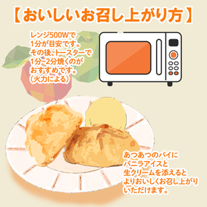 アップルパイ 10個 セット｜りんご アップルパイ アップルパイアップルパイアップルパイアップルパイ【AKR0012】
