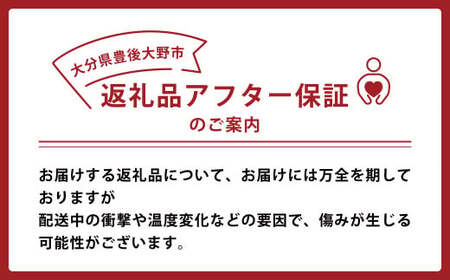 037-1055x2【先行予約】 大分県 豊後大野市産 梨 約3kg 【2026年8月下旬～12月上旬発送予定】