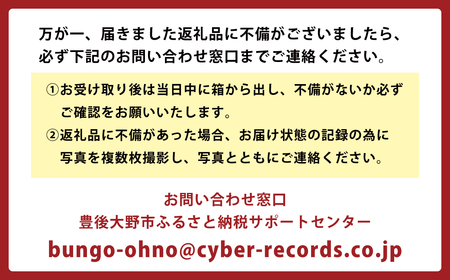 037-1053x2【先行予約】 大分県 豊後大野市産 梨 約5kg 【2026年8月下旬～12月上旬発送予定】