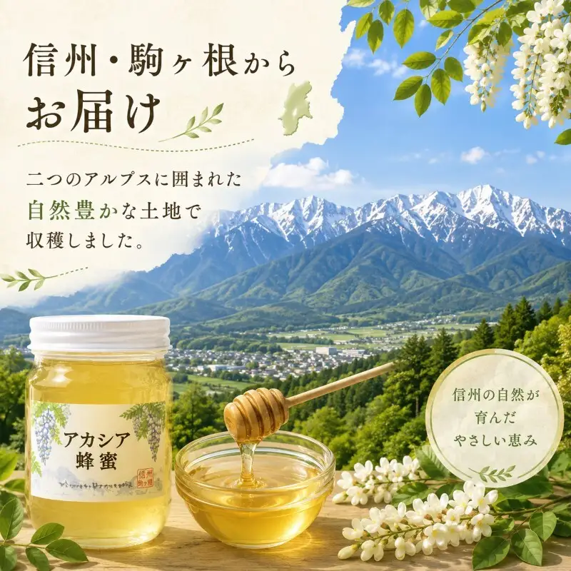 信州駒ヶ根産「アカシア蜂蜜」（600g） 加工食品 