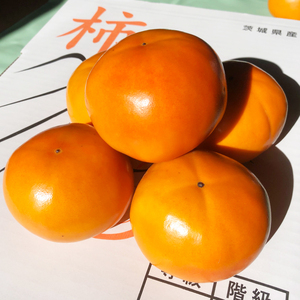 【2026年10月下旬より順次発送】【数量限定】富有柿 2L 14玉【茨城県共通返礼品/石岡市】（IU-10）