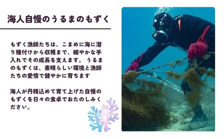 【美ら海水産】海ん人畑のあじわいもずくスープ　1食(6.1g)×10個