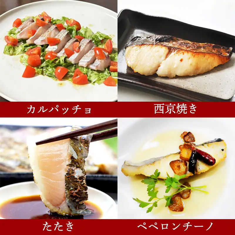 漁連直送！！ 京鰆 1.5kg以上 一尾 ： 鮮魚 寒さわら