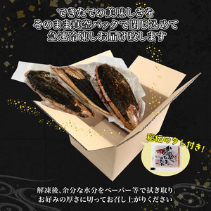 訳アリ 鰹 約3kg 冷蔵 秘伝のたれ付 鰹 かつお たたき 海鮮 魚介類 魚貝類 刺身 おさしみ 刺し身 Sashimi FISH 魚 新鮮 ごはん 夕飯 おかず おつまみ 晩酌 米 丼 海産物 もっちり 炙り 大船渡 三陸 岩手県 国産