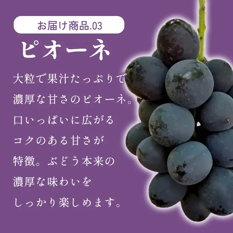 B-1170 赤梨とぶどうのセット