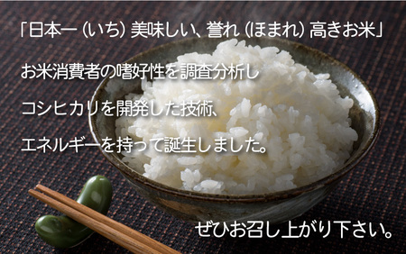 [051-a004] 無洗米  いちほまれ  5kg 