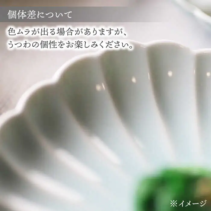 【波佐見焼】四つ菊 中皿 4色セット part1【永泉】[MC81]