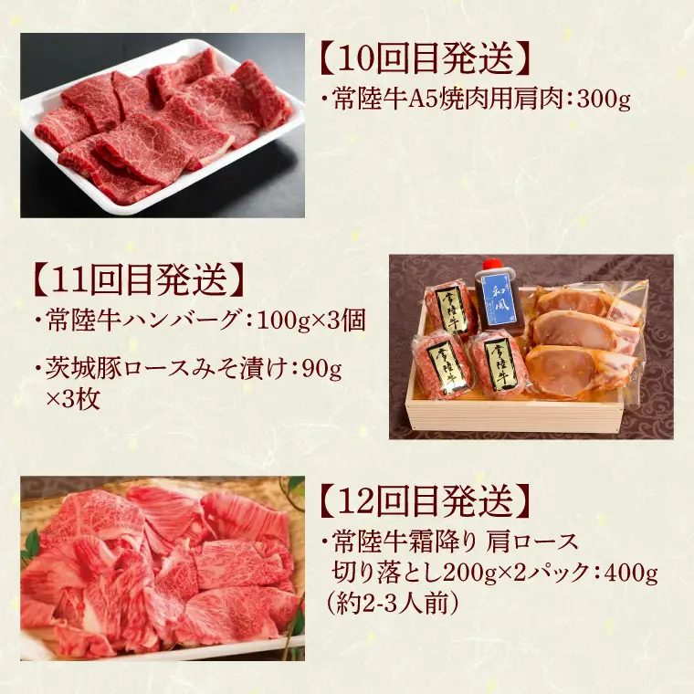 12ヶ月 定期便 肉 高級肉 常陸牛 Aコース  肉のイイジマ（DU-111）