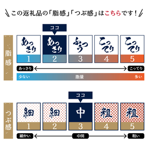 南マグロねぎとろ400g＜4人前＞ (a10-1036)
