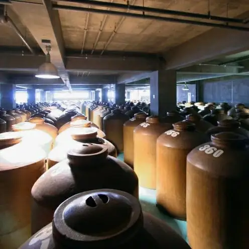 【比嘉酒造】残波シークヮーサースピリッツ＜720mlx2本＞ 〇 酒 沖縄 フルーティー 泡盛 読谷村 ロック 炭酸 サワー おすすめ商品