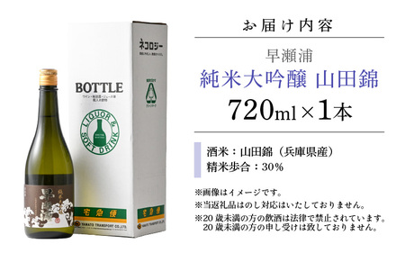 【お中元】 早瀬浦 純米大吟醸 山田錦 720ml × 1本 【入手困難 日本酒】[m06-c004]
