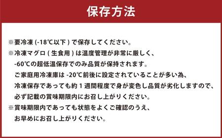 まぐろ＆サーモン 切り落としセット(各300g 合計600g／約5～6食分)
