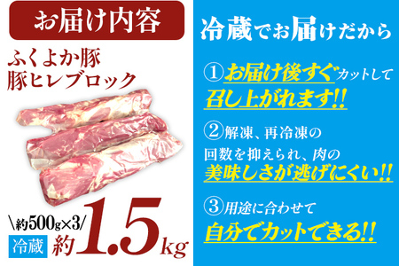 豚肉 ヒレブロック 約1.5kg 豚肉